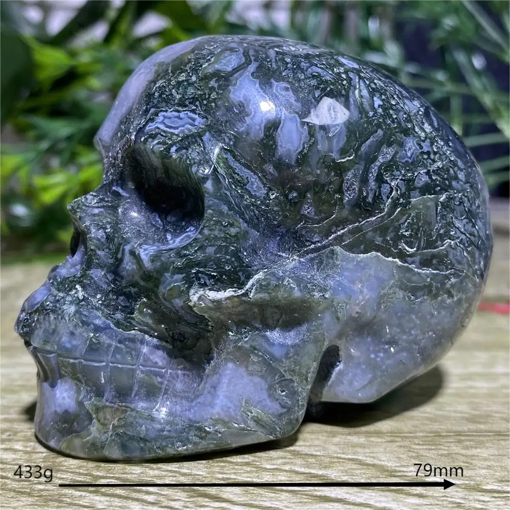 Crystal skull on a wooden surface with greenery in the background