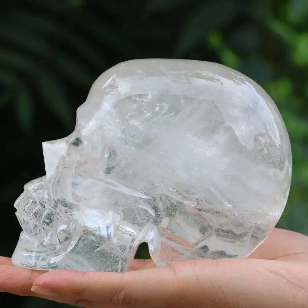 Clear crystal skull held in a hand with a blurred green background