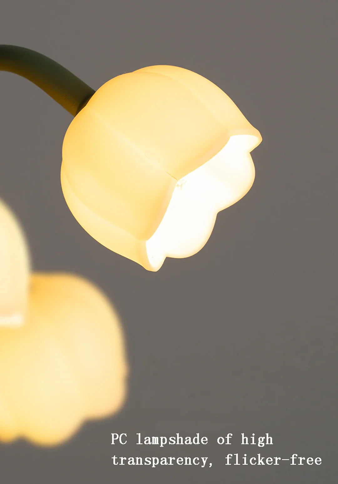 Close-up of a lamp with a transparent PC lampshade on a dark background