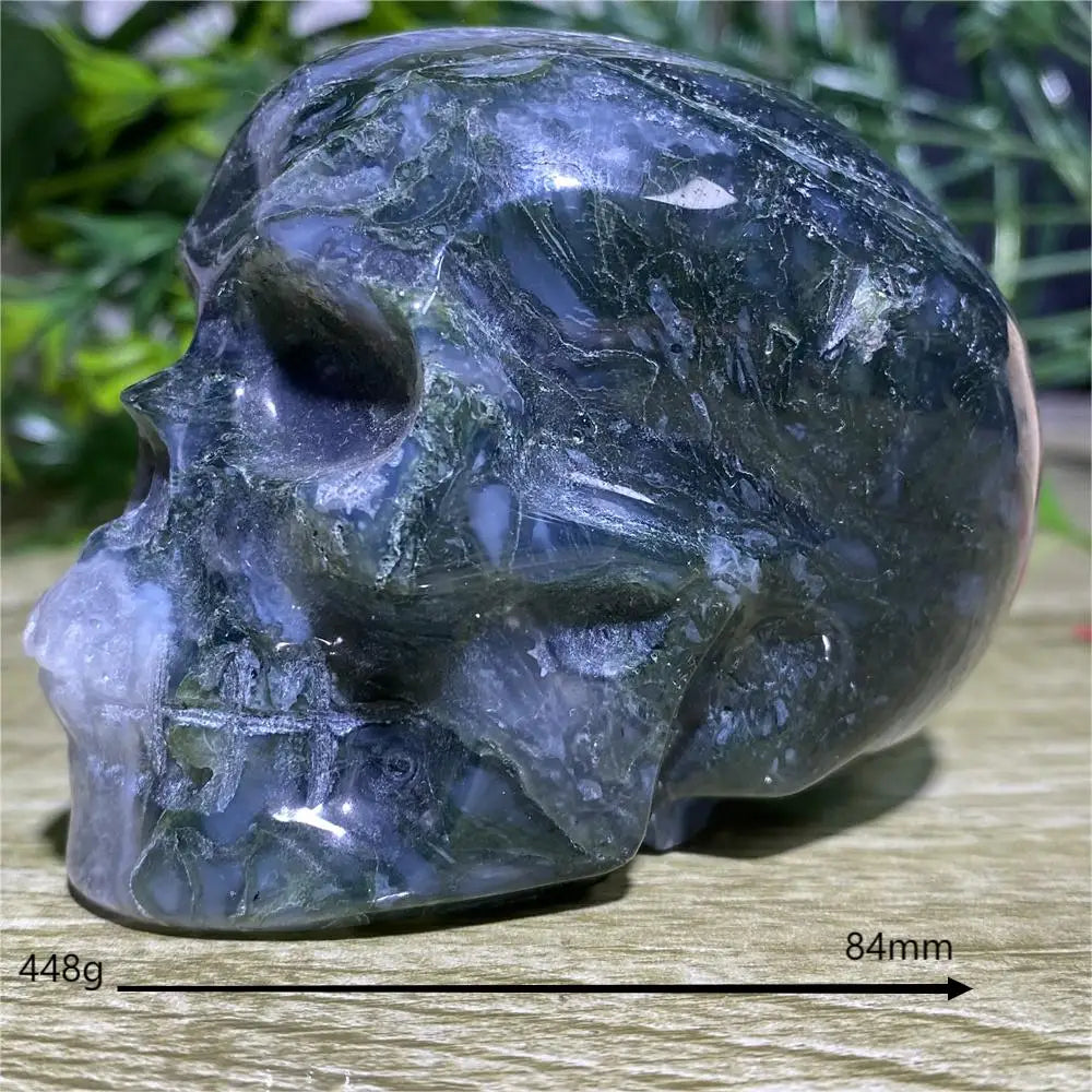Crystal skull on a wooden surface with greenery in the background