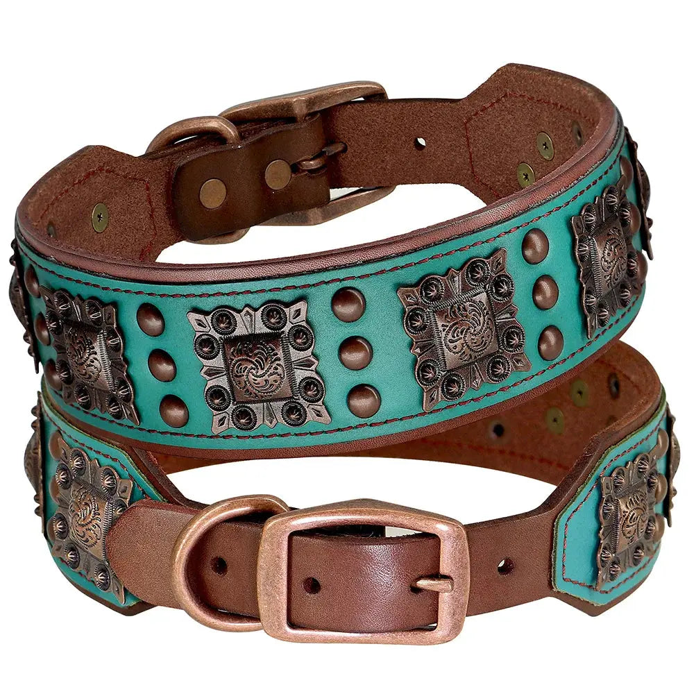 Turquoise and brown leather dog collar with decorative studs on a white background