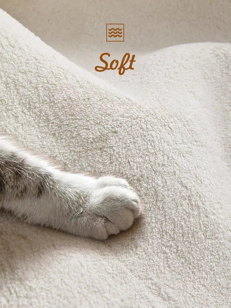 Creative Art Rug Have A Nice Day Pink Rug