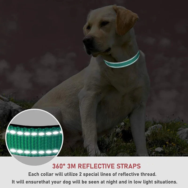 Reflective Dog Collar, Soft Neoprene Medium to Large Dogs, Neck 25-60 Centimetre