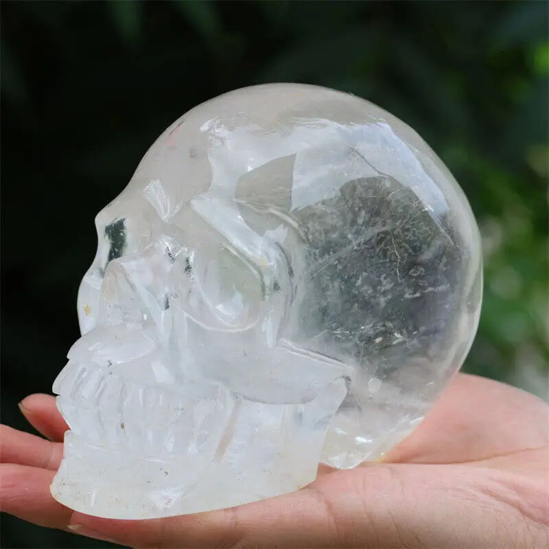 Clear crystal skull held in a hand with a blurred green background