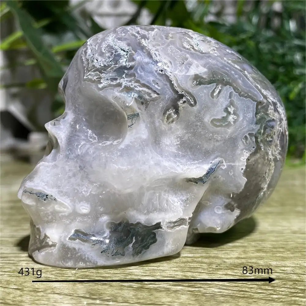 Crystal skull with measurements on a wooden surface and greenery in the background
