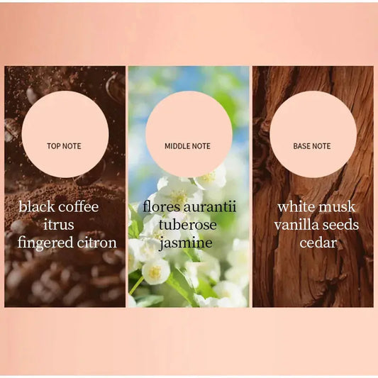 Three sections of a fragrance breakdown with notes and corresponding scents on a peach background.