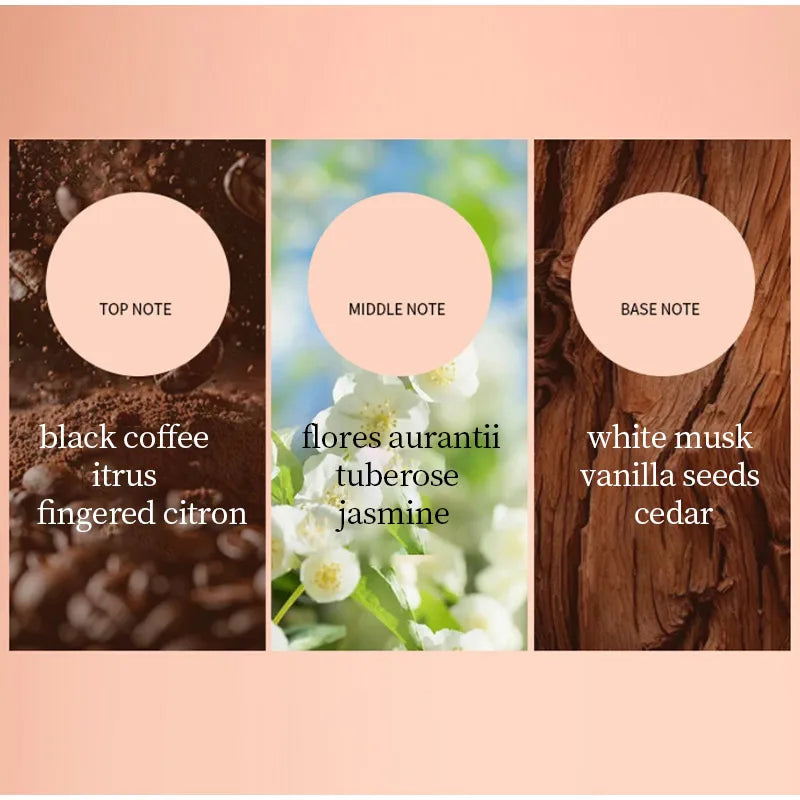 Three sections of a fragrance breakdown with notes and corresponding scents on a peach background.