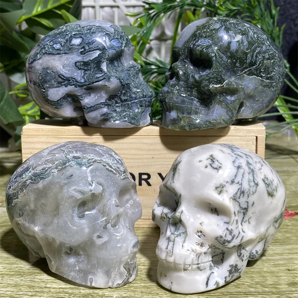 Four crystal skull carvings on a wooden stand with a natural background.