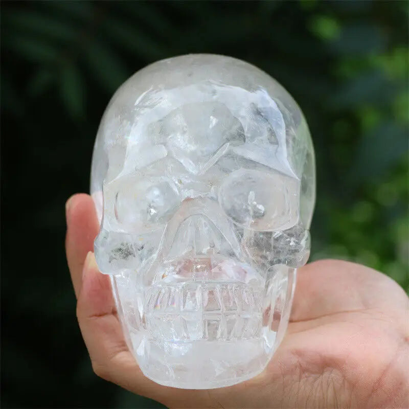 Clear crystal skull held in a hand with a blurred green background