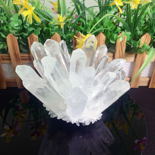 Natural Crystals Clear Quartz Cluster Specimen Freeform