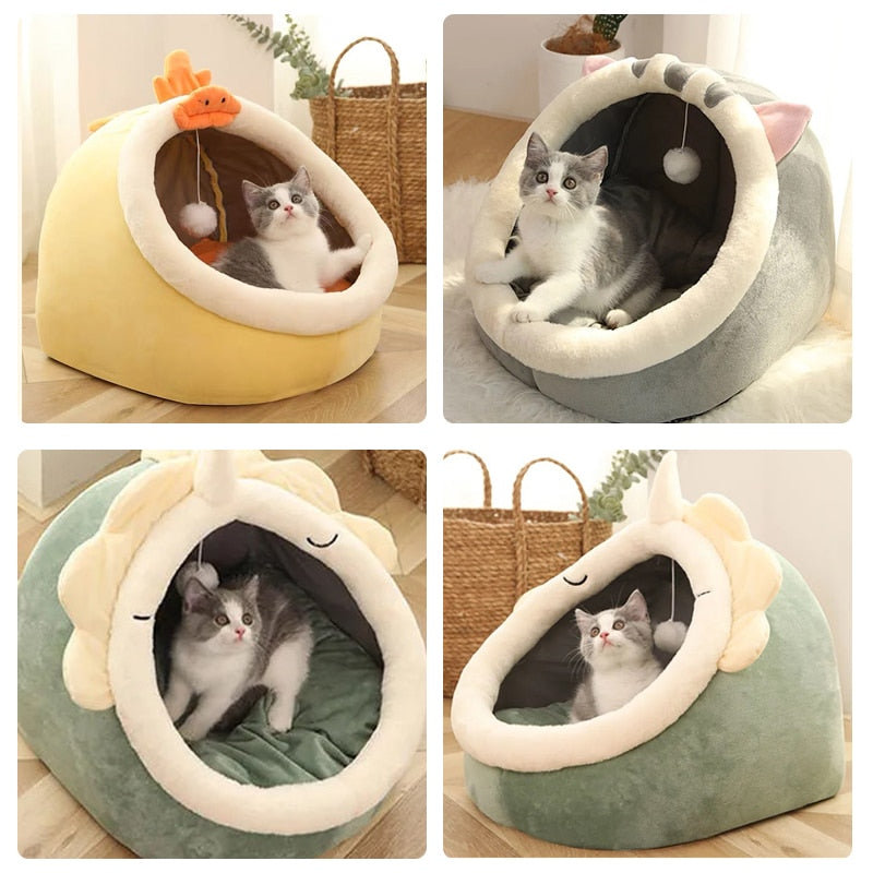 cat beds