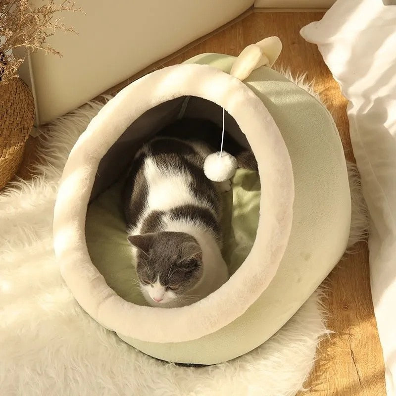 dinosaur cat bed