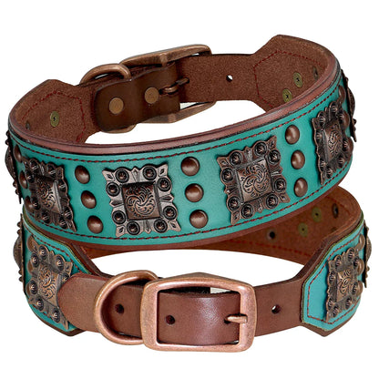 Turquoise and brown leather dog collar with decorative studs on a white background