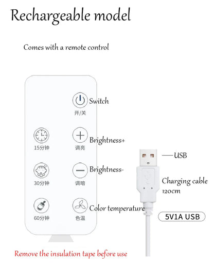 Diagram of a rechargeable model with remote control features and USB cable on a white background.