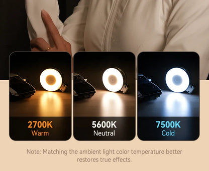 Three light bulbs with different color temperatures displayed on a beige background.