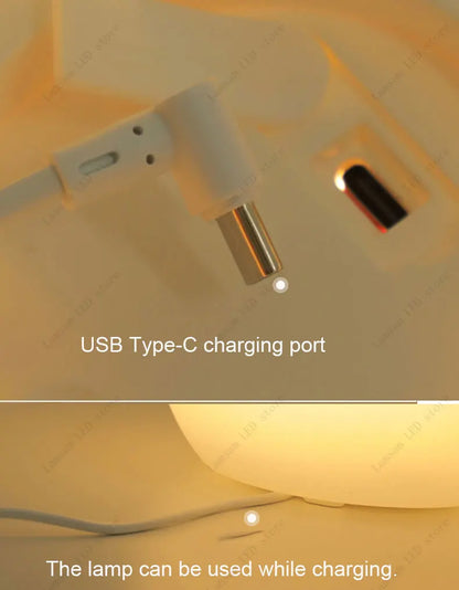 USB Type-C charging port with a lamp being used while charging.