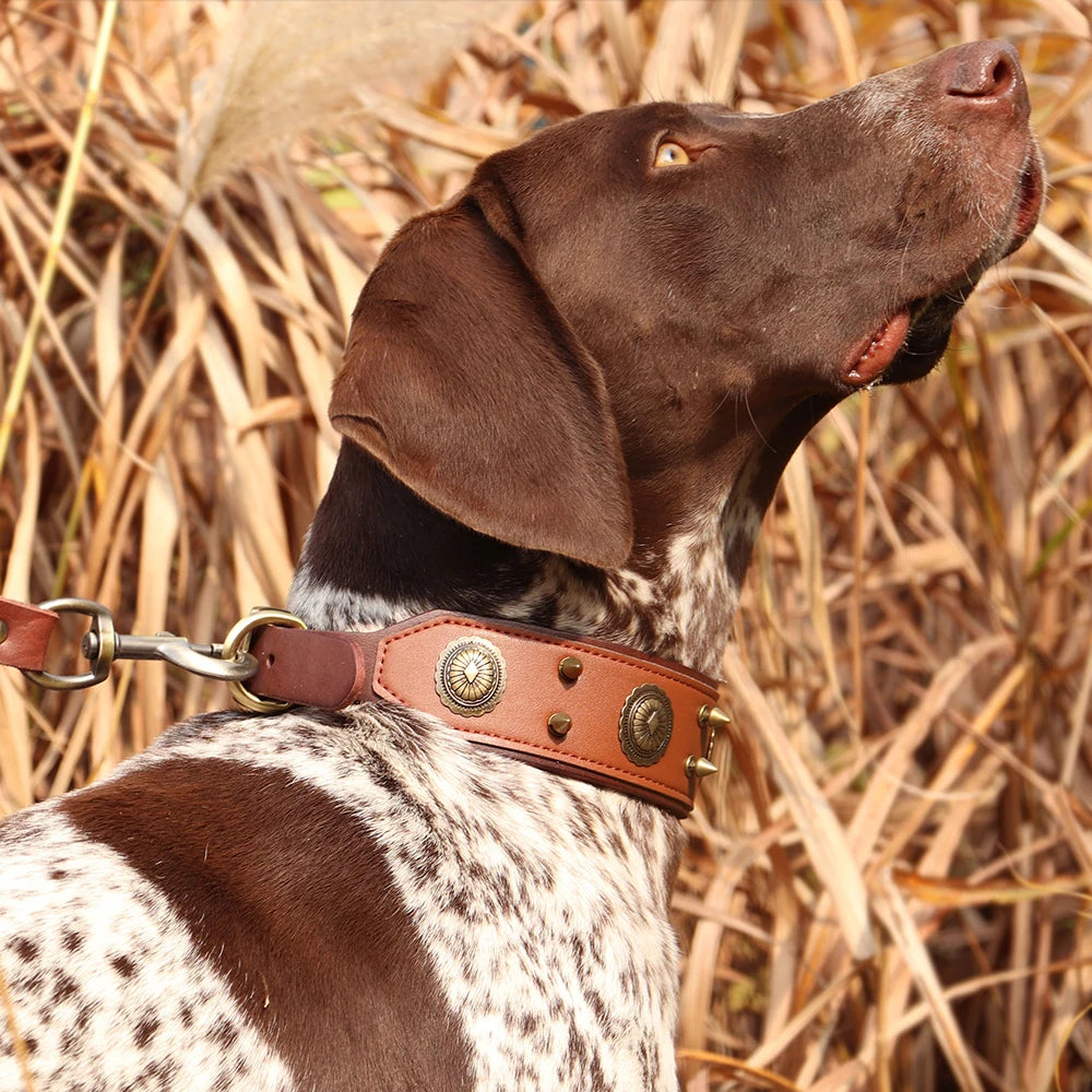 Genuine Leather Spiked Studded Dog Collar for Medium Large Dogs