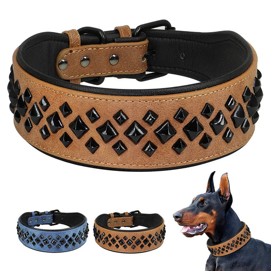 Dog collar with black diamond studs on a white background, with a dog wearing the collar.