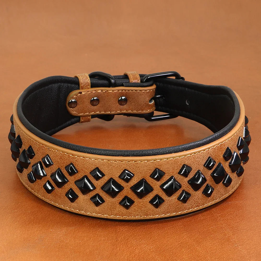 Dog collar with black studs on a brown background
