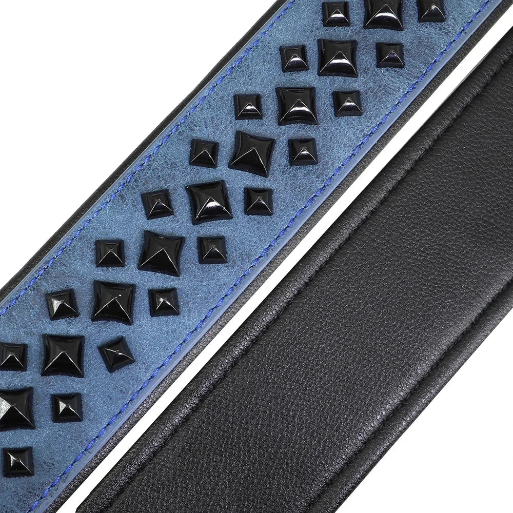 Blue leather dog collar with black studs on a white background