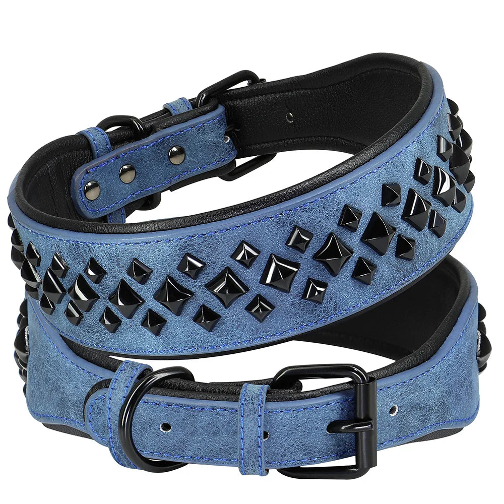 Blue dog collar with black studs on a white background