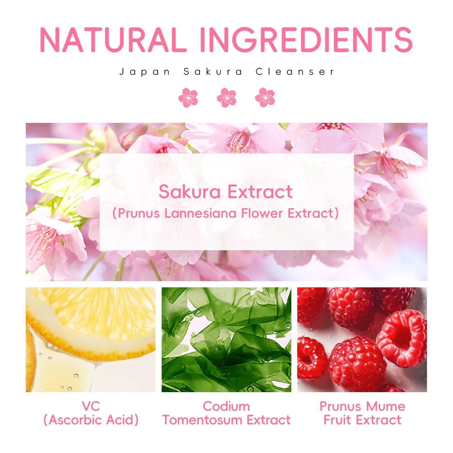 Advertisement for Japan Sakura Cleanser with natural ingredients including Sakura Extract and various fruits.