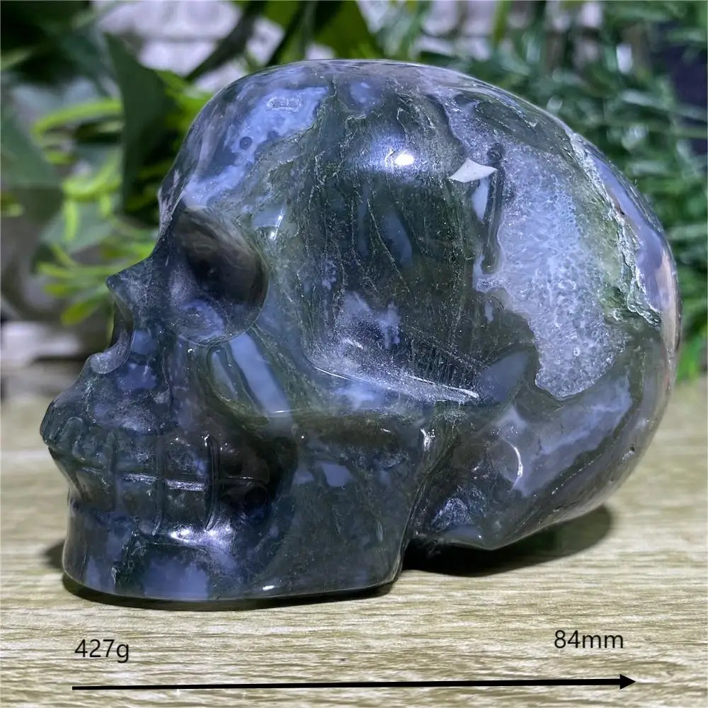 Crystal skull on a wooden surface with greenery in the background