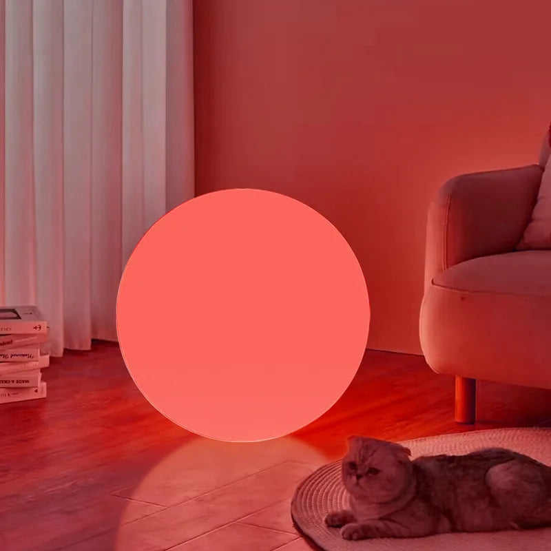 Large pink sphere light in a room with a cat and books on a red wall.