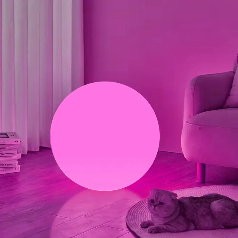 Pink spherical light in a room with a cat and books on a shelf.
