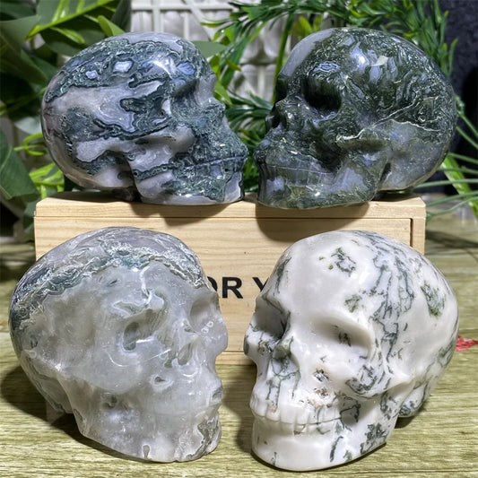 Four crystal skull carvings on a wooden stand with a natural background.