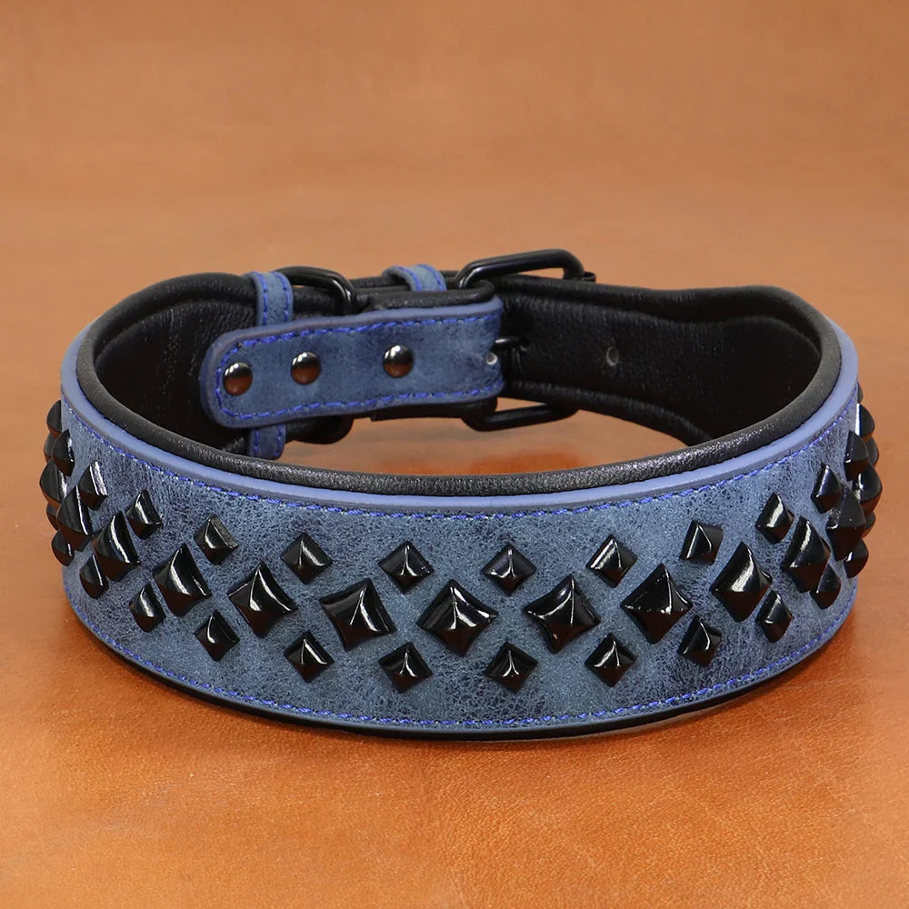 Blue leather dog collar with black studs on a brown background