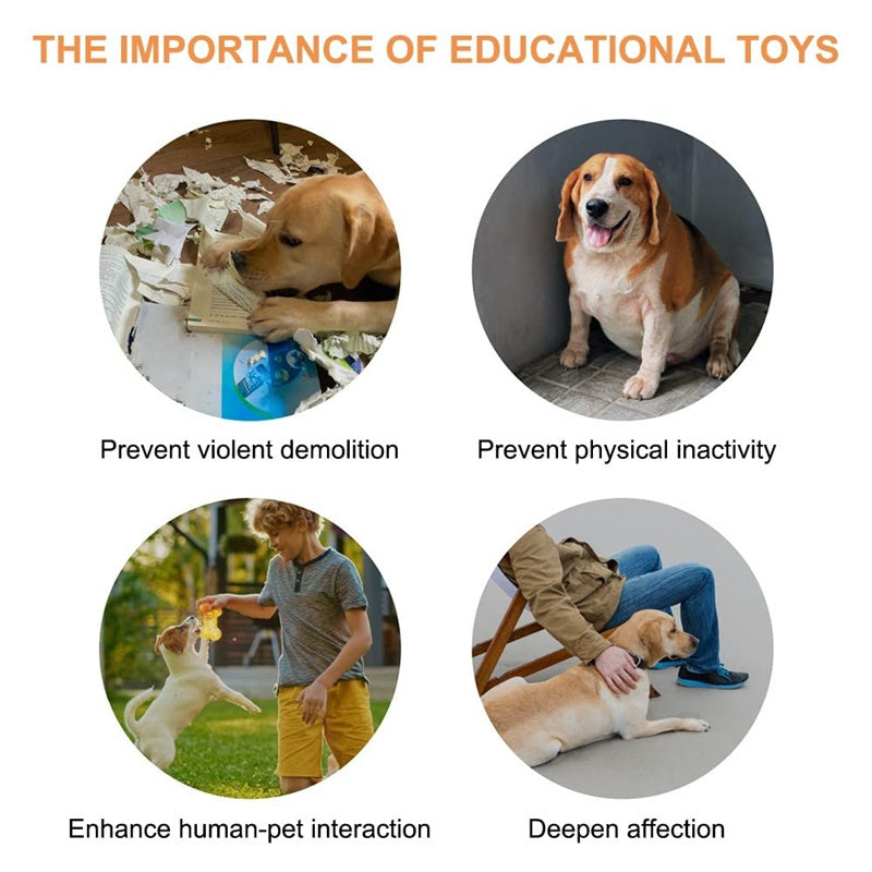 4 Colors Pet Communication Button One-click Prevent Physical Inactivity Recordable Dog Talking Button Toy Cat Toy Pet Products Pure Ember