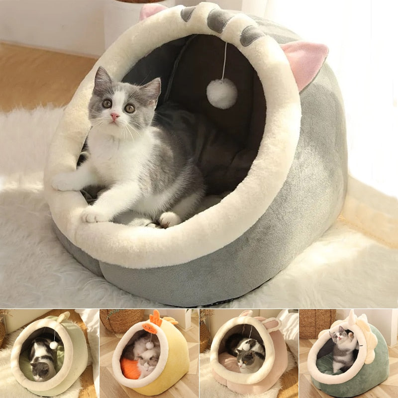 british short hair cat bed 